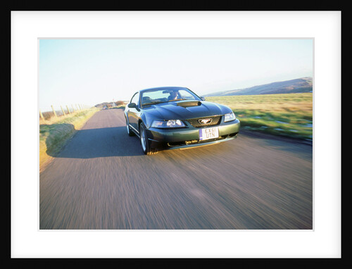2002 Ford Mustang Bullitt by Unknown