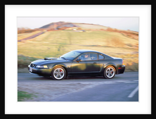 2002 Ford Mustang Bullitt by Unknown