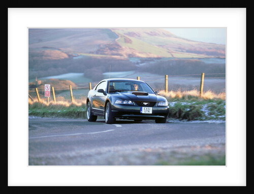 2002 Ford Mustang Bullitt by Unknown