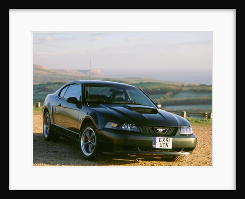 2002 Ford Mustang Bullitt by Unknown