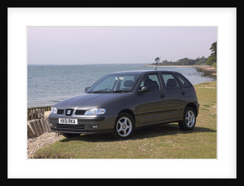 2001 Seat Ibiza by Unknown