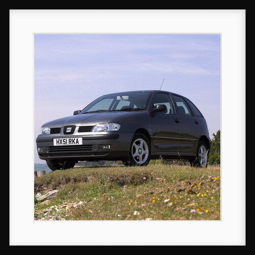 2001 Seat Ibiza by Unknown