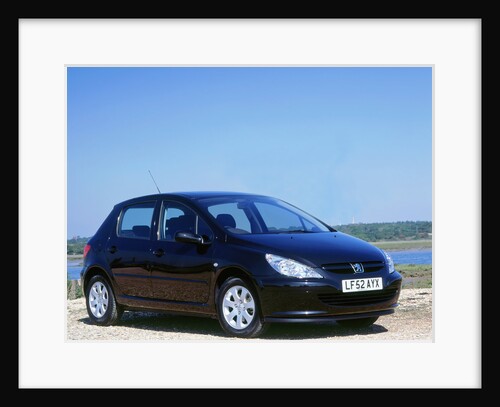 2002 Peugeot 307 by Unknown