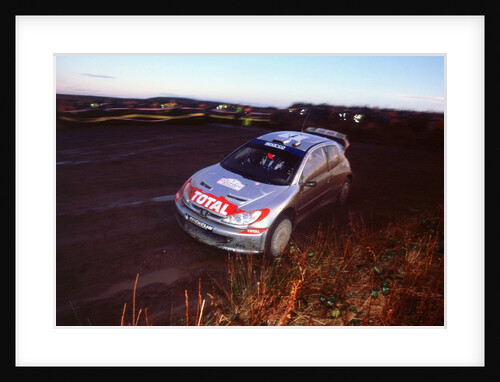2002 Peugeot 206 WRC, Richard Burns, Network Q Rally by Unknown