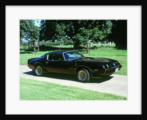 1979 Pontiac Firebird Trans Am by Unknown
