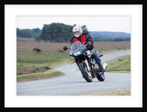 2000 Yamaha XJ 600s Diversion motorcycle by Unknown