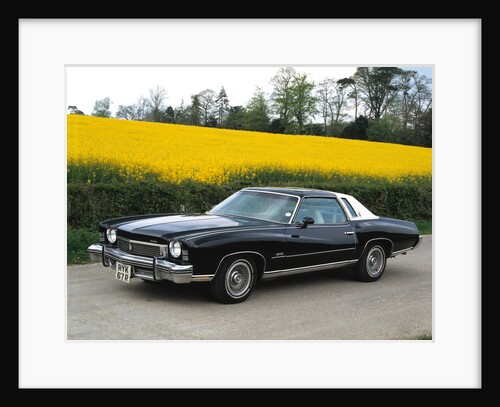 1973 Chevrolet Monte Carlo Landau by Unknown