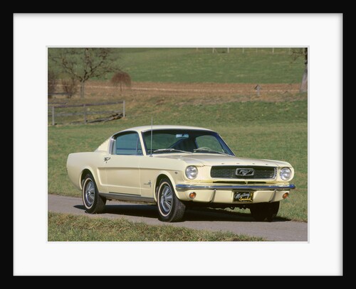 1966 Ford Mustang Fastback by Unknown