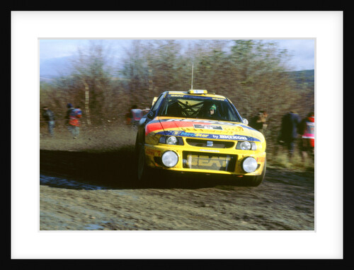 Seat wrc 1998 Network Q rally. H.Rovan Pera by Unknown