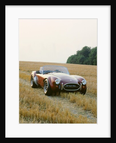 1966 AC Cobra 289 by Unknown