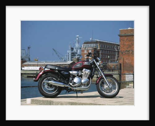 1996 Triumph Thunderbird by Unknown