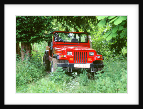 1993 Jeep Wrangler by Unknown