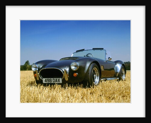 1990 Dax Cobra Tojiero by Unknown