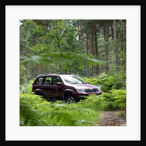 2003 Toyota Landcruiser by Unknown