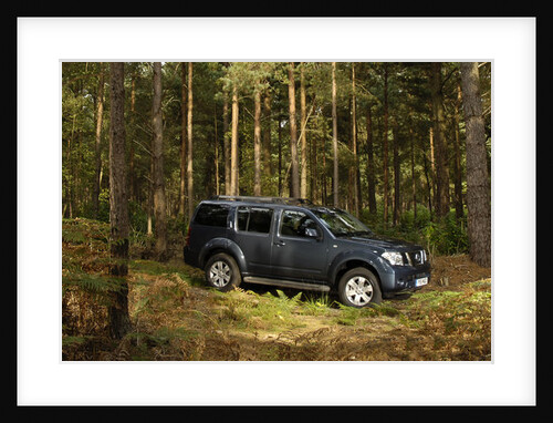 2005 Nissan Pathfinder 2.5 Tspec dci by Unknown