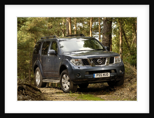 2005 Nissan Pathfinder 2.5 Tspec dci by Unknown