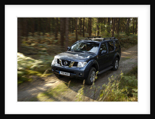 2005 Nissan Pathfinder 2.5 Tspec dci by Unknown