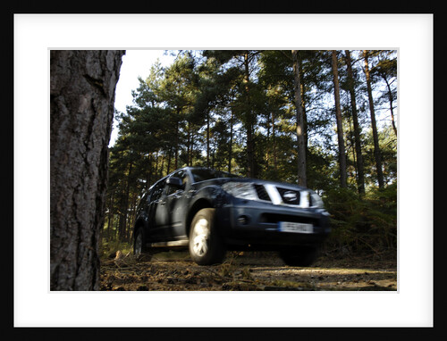 2005 Nissan Pathfinder 2.5 Tspec dci by Unknown