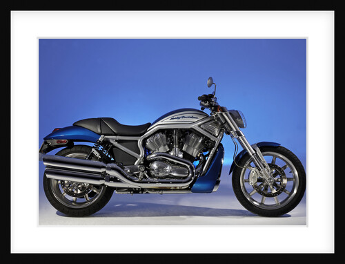 2005 Harley Davidson VRSCR Street Rod by Unknown