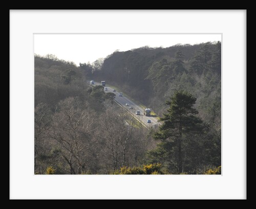 The A31 Dual Carriageway through New Forest by Unknown