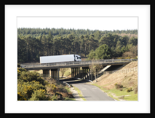 The A31 Dual Carriageway through New Forest by Unknown