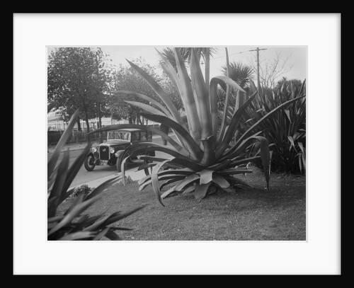 1931 Austin 16/6 on a road test, Torquay, Devon by Bill Brunell