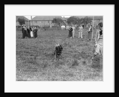 Standard Car Owners Club Gymkhana, 8 May 1938 by Bill Brunell