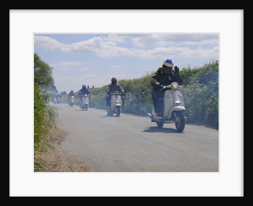 Scooters enjoying run on country lane by Unknown