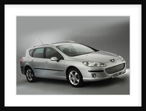 2006 Peugeot 407 SW by Unknown