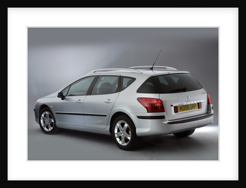 2006 Peugeot 407 SW by Unknown