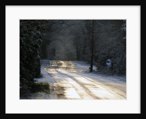 Sun glinting off an icy road in the New Forest 2009 by Unknown