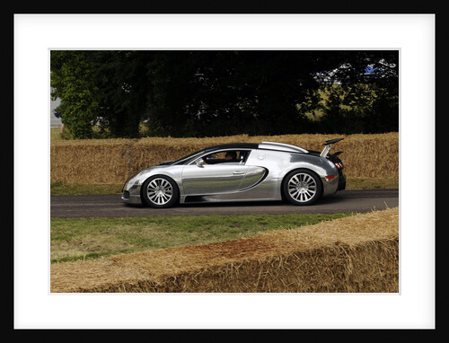 2009 Bugatti Veyron Pur Sang by Unknown