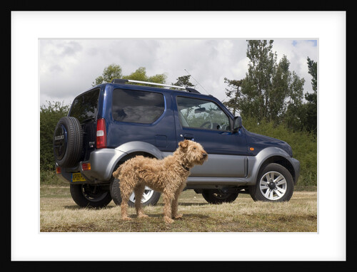 2009 Suzuki Jimny SZ4 with pet dog by Unknown