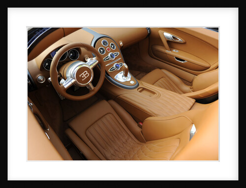 2009 Bugatti Veyron Sang Bleu by Unknown