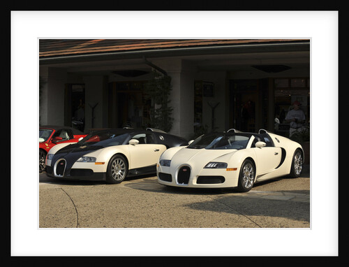 Group of Bugatti Veyron cars by Anonymous