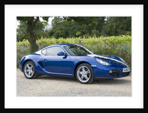 2010 Porsche Cayman by Unknown