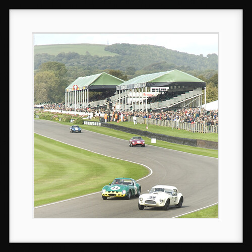 2011 Goodwood Revival Meeting historic sports car racing, Ferrari 250 GTO and AC Cobra at Madgwick by Unknown