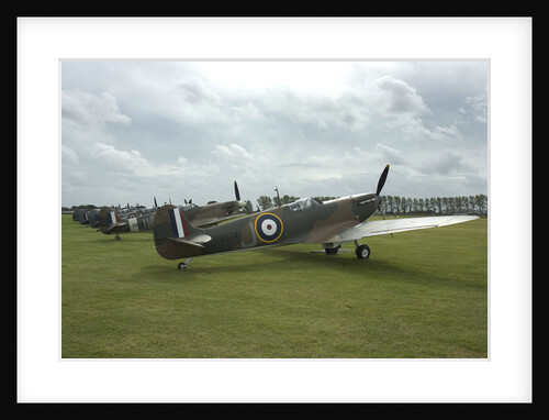 2011 Goodwood Revival Meeting, row of Spitfire Aircraft by Unknown