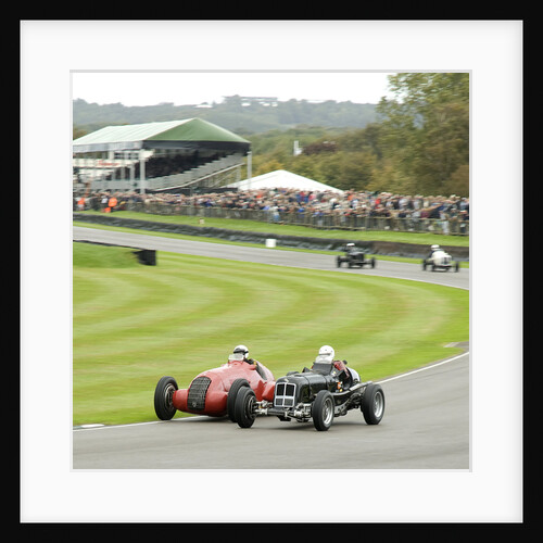 2011 Goodwood Revival Meeting, Goodwood Trophy ERA D type and Alfa Romeo 308c by Unknown