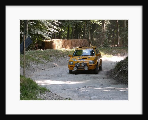 Nissan Micra Camel Rally Car Goodwood Festival of Speed 2013 by Unknown