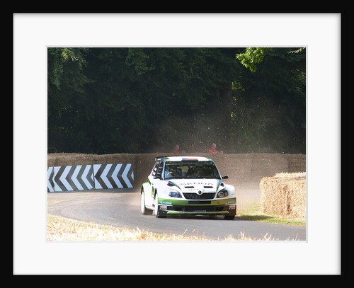 Skoda Rally car 2013 Goodwood Festival of speed by Unknown
