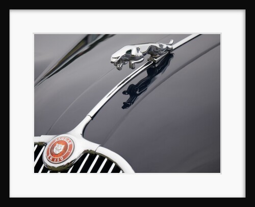 Leaping cat mascot on Jaguar XK150 by Anonymous