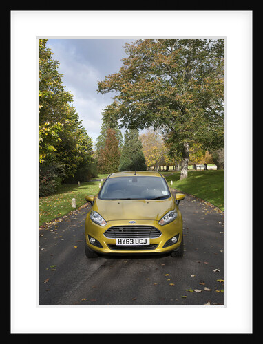 2013 Ford Fiesta Econetic by Unknown