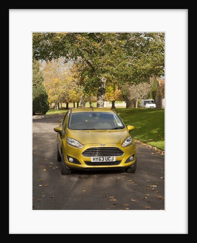 2013 Ford Fiesta Econetic by Unknown