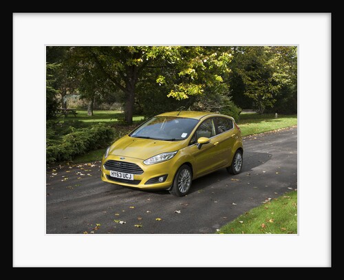 2013 Ford Fiesta Econetic by Unknown