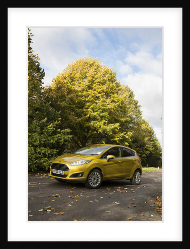 2013 Ford Fiesta Econetic by Unknown