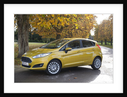 2013 Ford Fiesta Econetic by Unknown