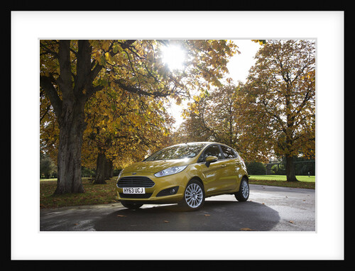 2013 Ford Fiesta Econetic by Unknown