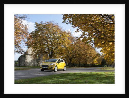 2013 Ford Fiesta Econetic by Unknown