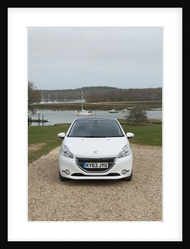 2014 Peugeot 208 Hdi by Unknown